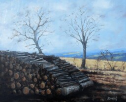 Bude tuhá zima  50x60